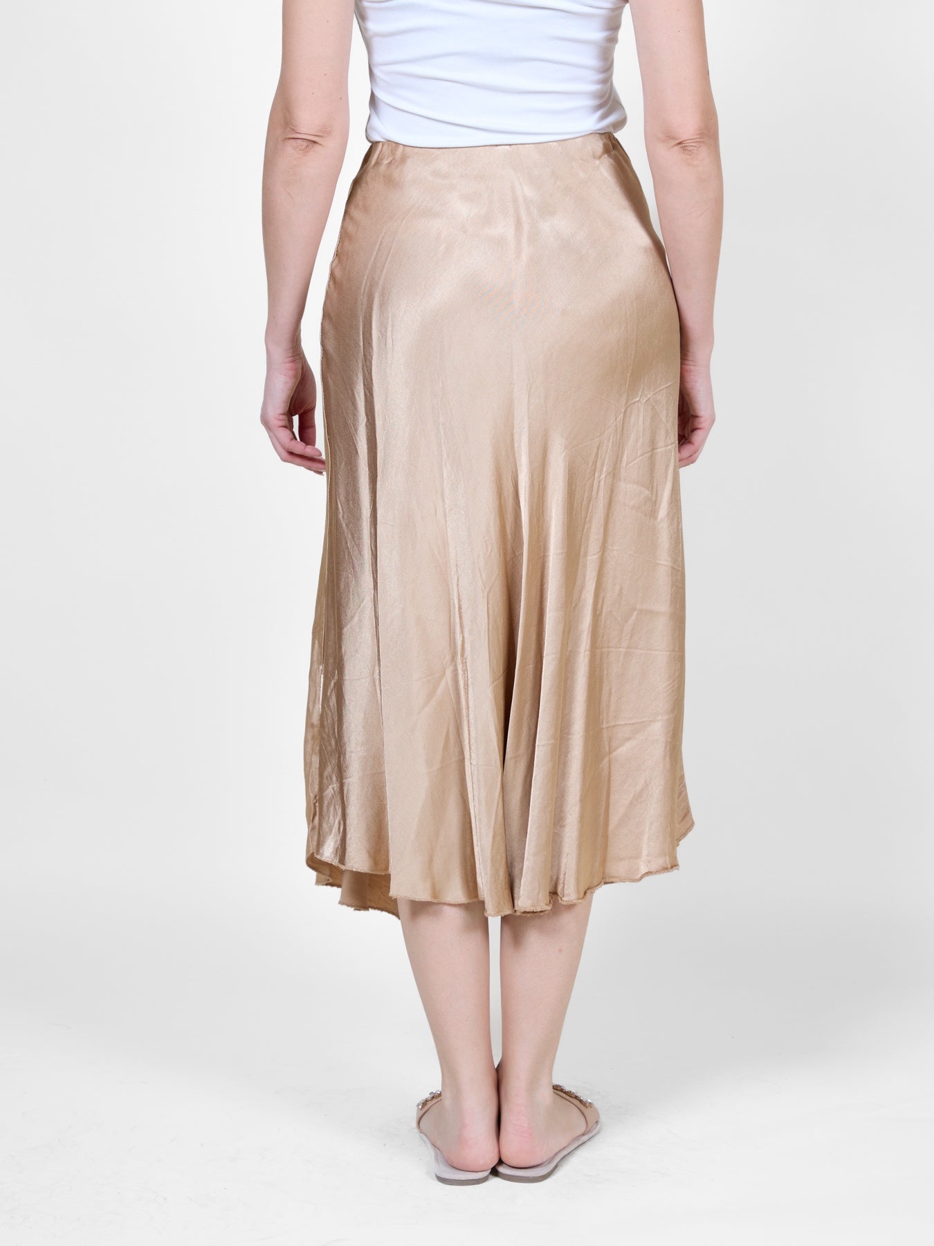 Tan Long Skirt with Subtle Sheen