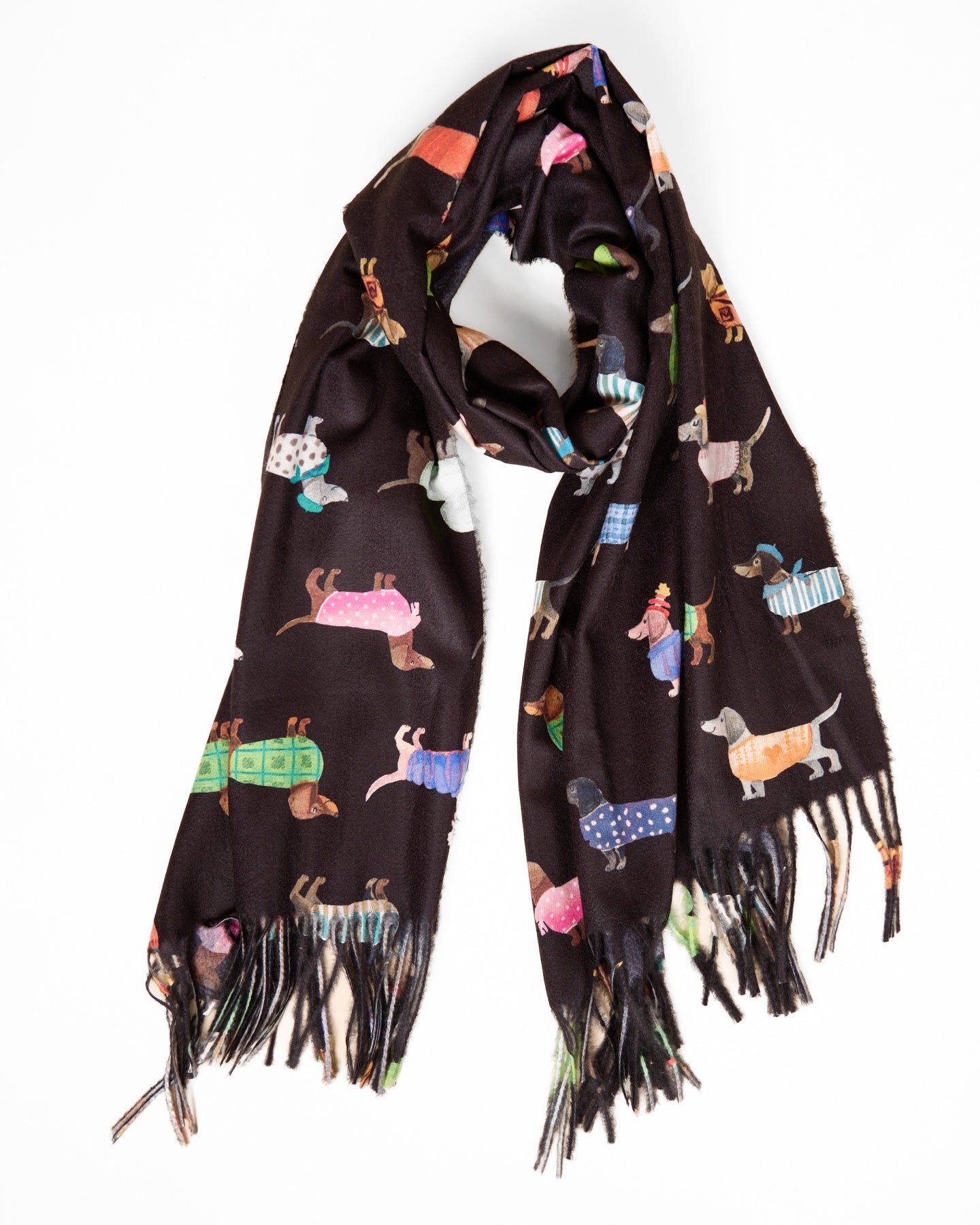 Playful Dachshunds Scarf - Black